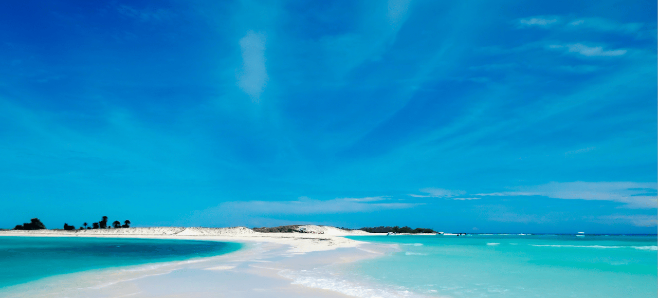 Adriana Briceño Realtor liderando equipo de abogados y contadores para inversiones inmobiliarias seguras en Venezuela desde el extranjero