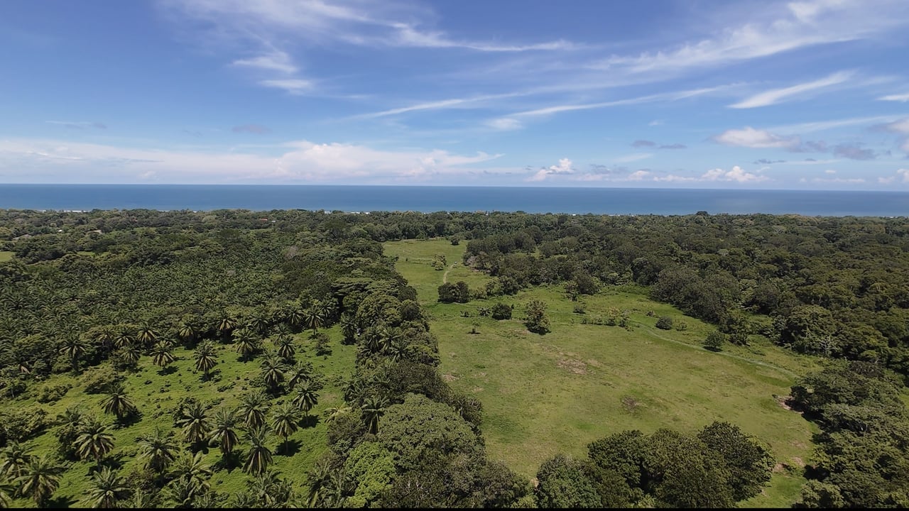 Access Beach Lots -81 Acres-Matapalo
