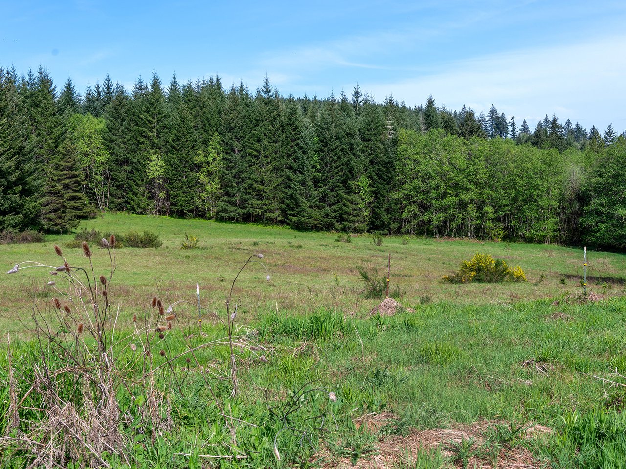 25420 NW PUMPKIN RIDGE RD