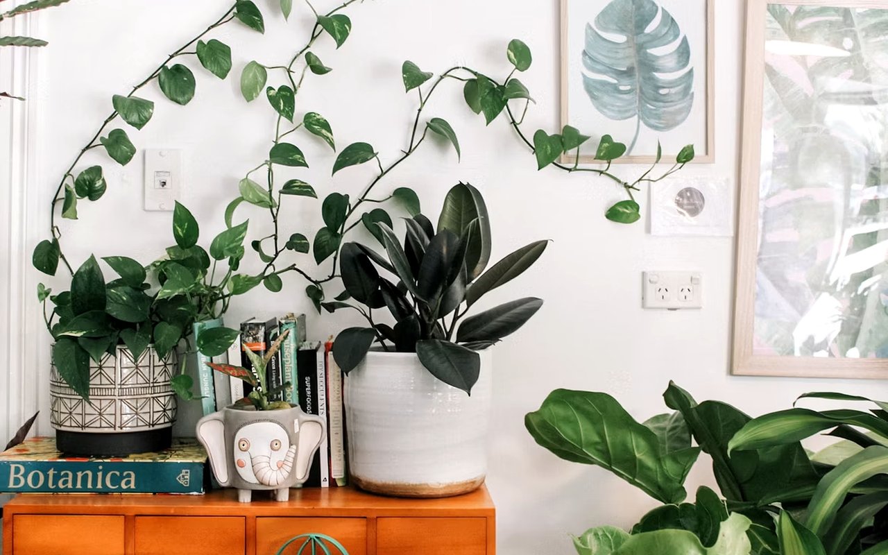How to Improve the Air Quality of Your Home