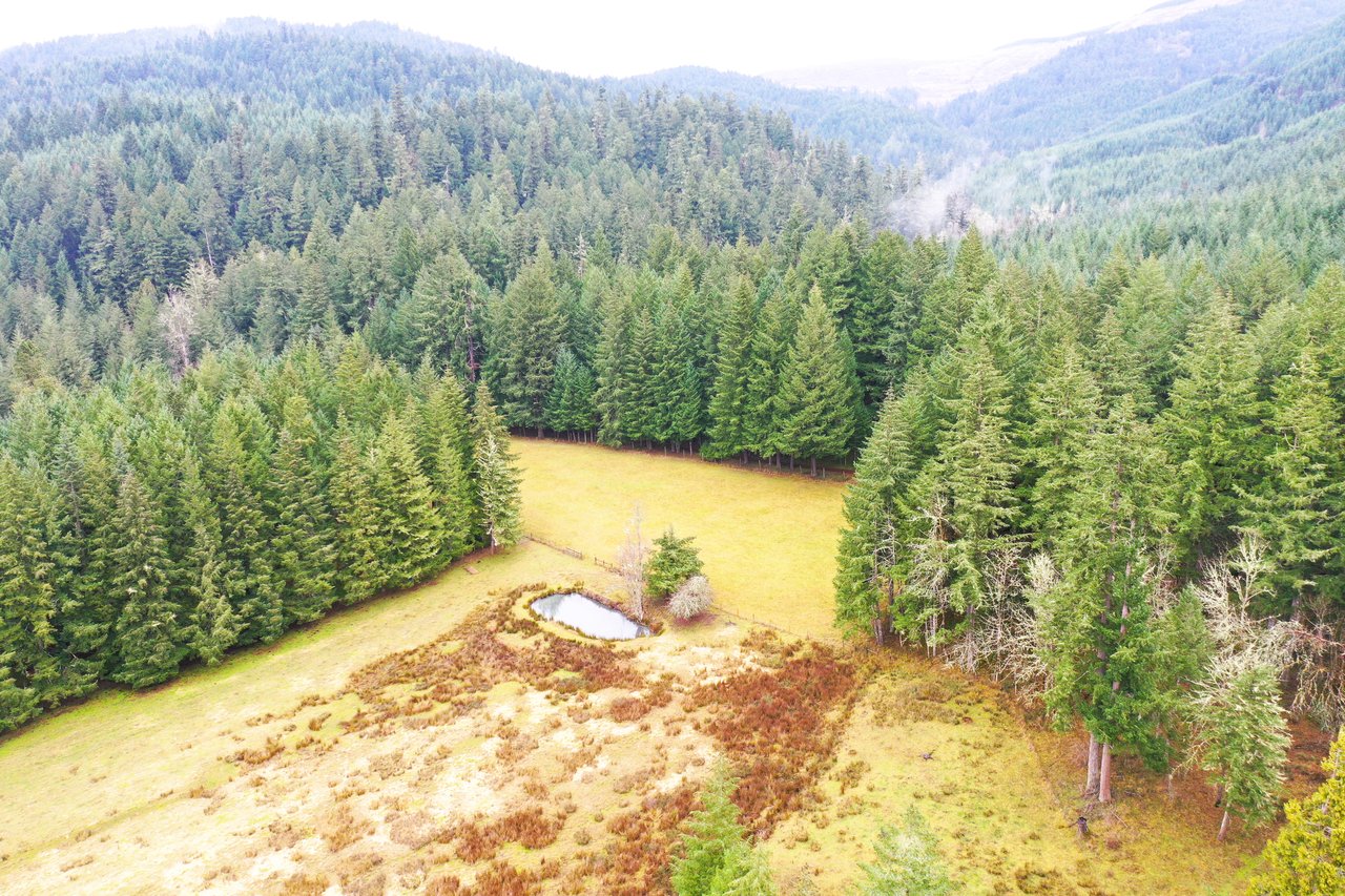 Mosby Creek Farm & Forest