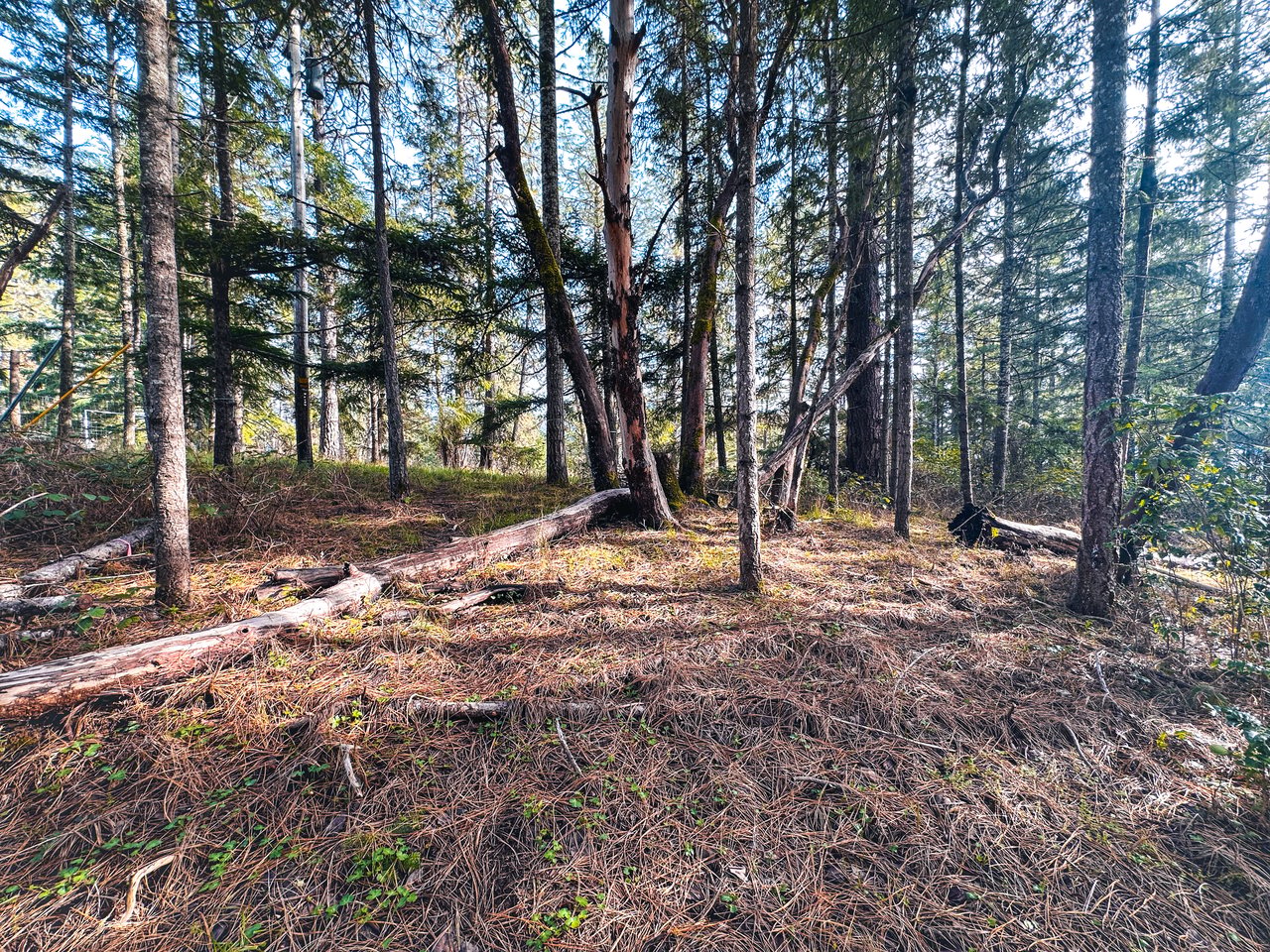 SUTHERLIN WOODLOTS