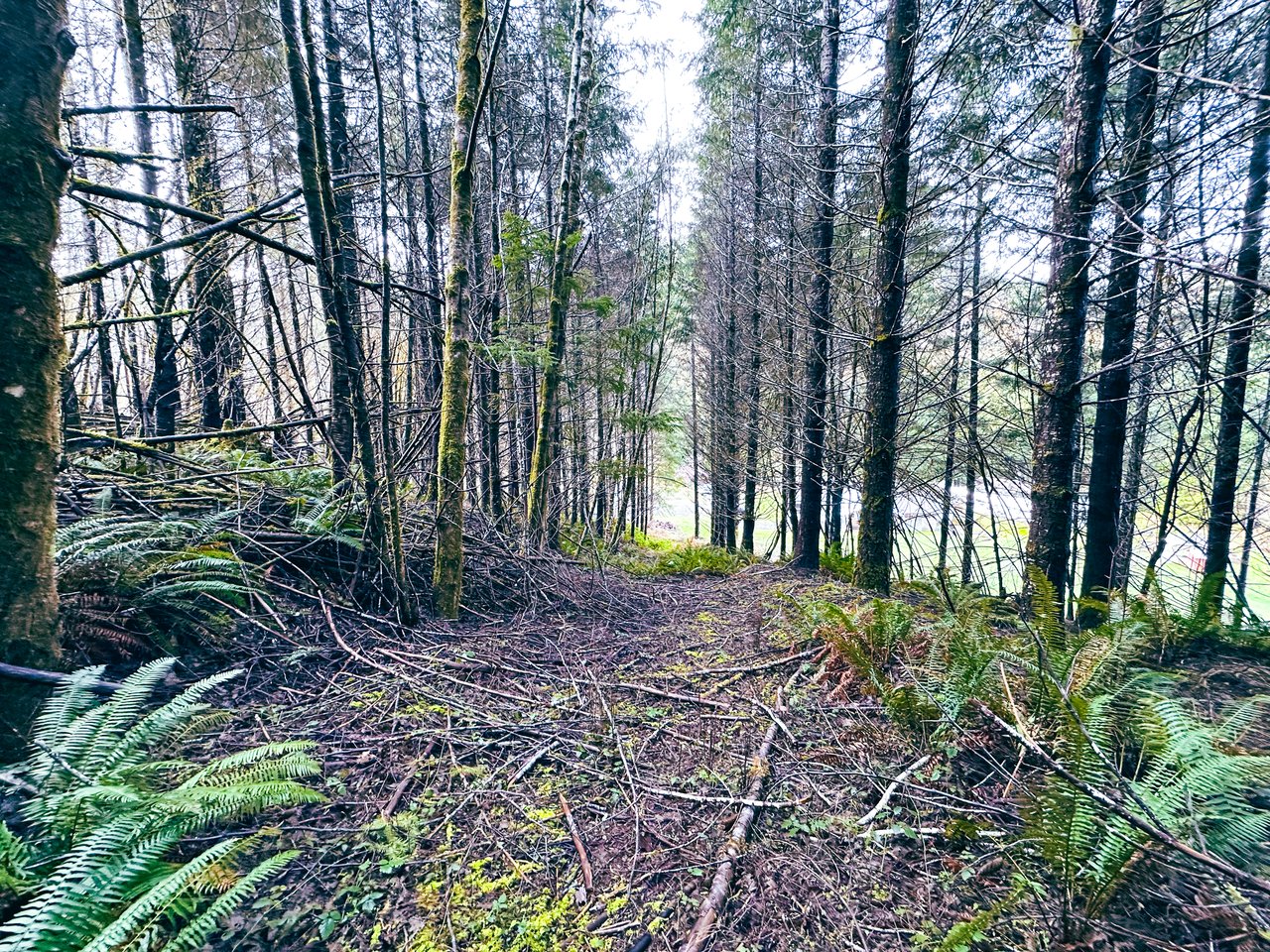 RICHARDSON TIMBER