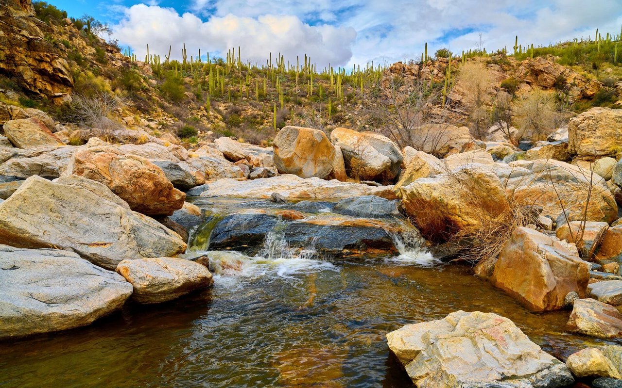 Ventana Canyon Guide