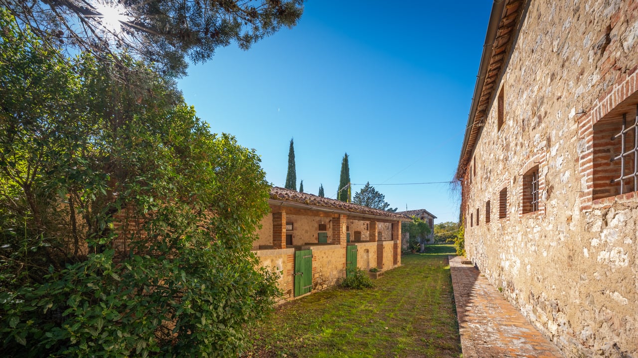 IL FIENILE DEL CHIANTI
