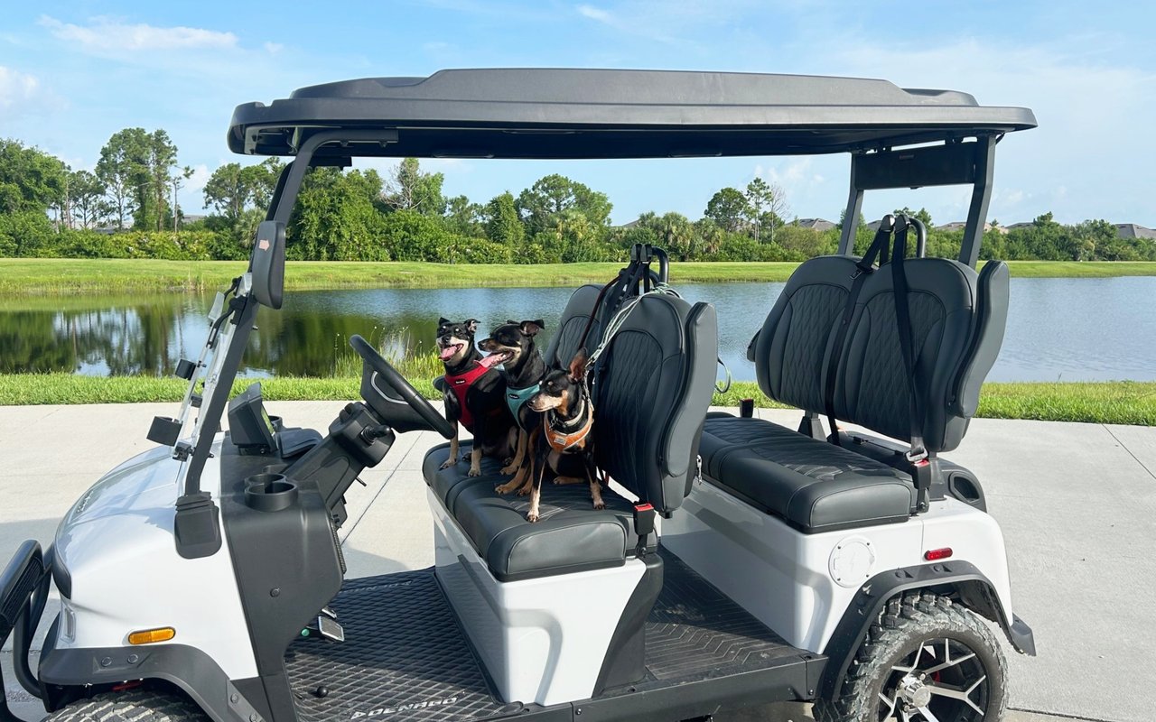 Pet-Friendly Living at Heritage Landing