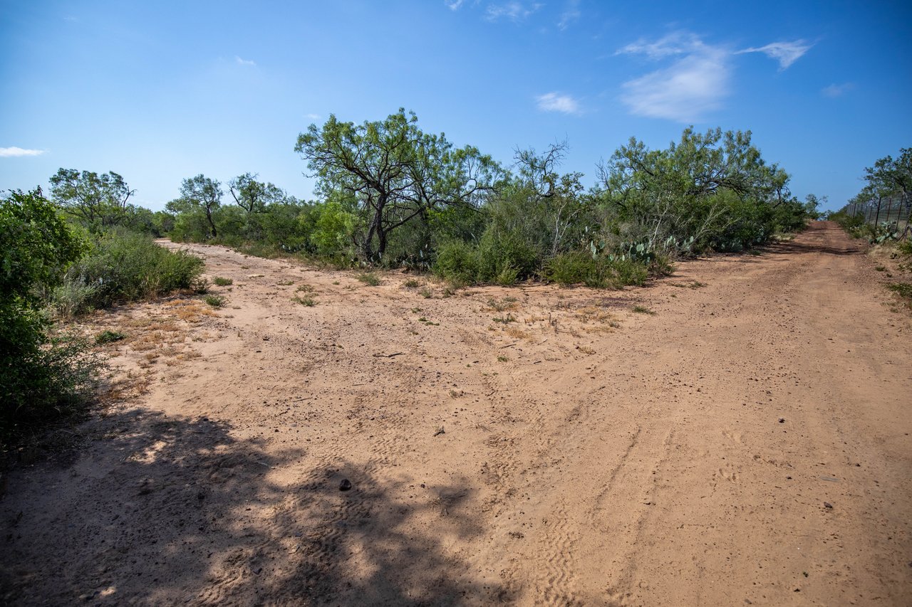 Oaks, Wildlife, & the Quiet of the Countryside | 26.99± Acres | Poteet, TX