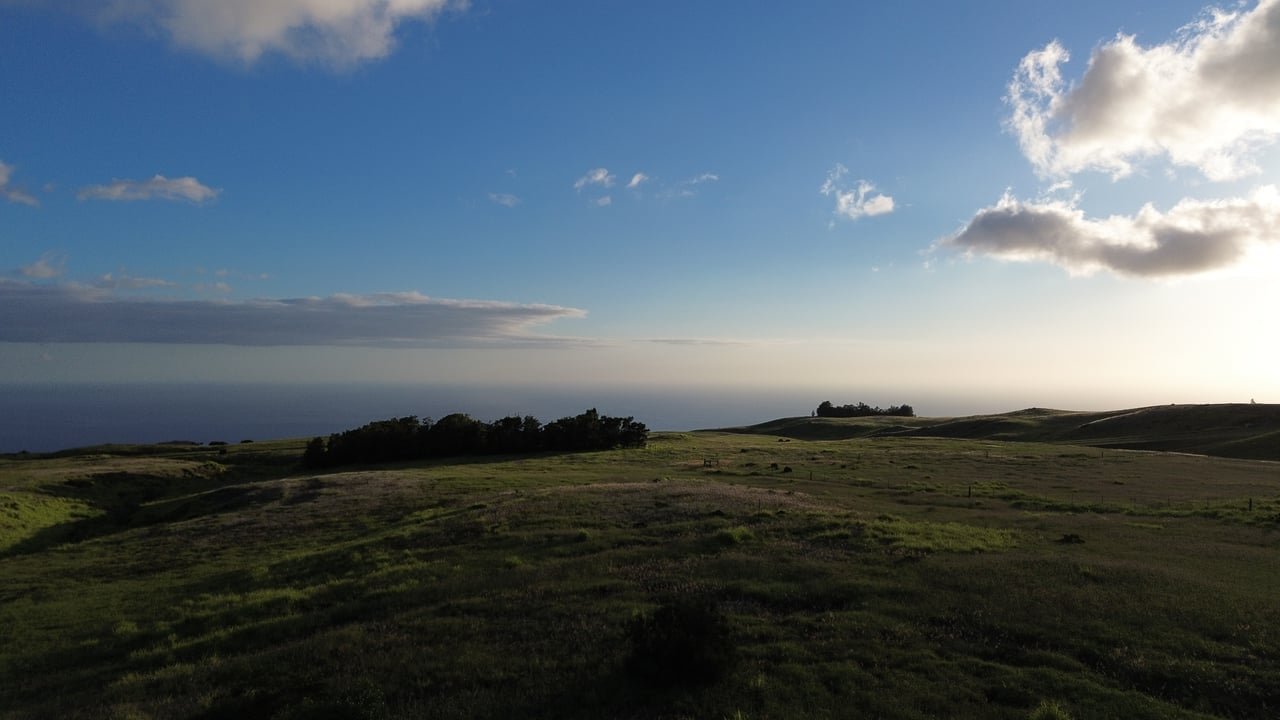 Kohala Ranch, Kohala by the Sea & Kohala Waterfront