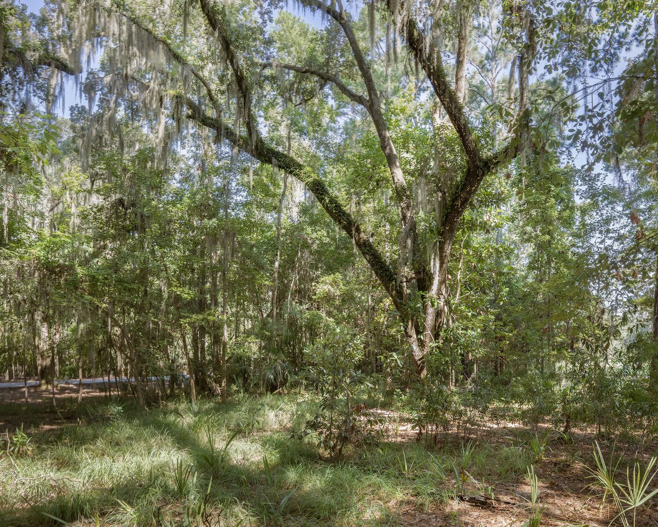 1 High Hope Way, available golf view homesite in Palmetto Bluff