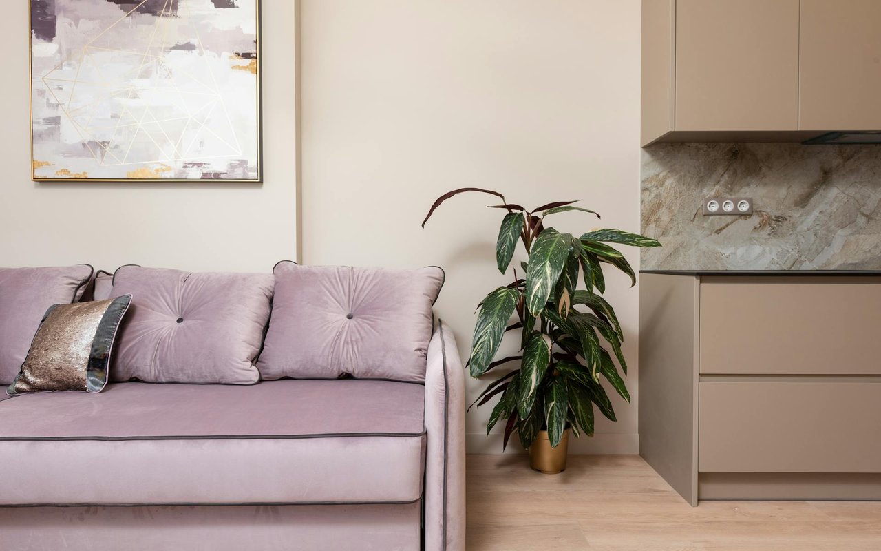 DIY Project: How to Make an Air Plant Terrarium