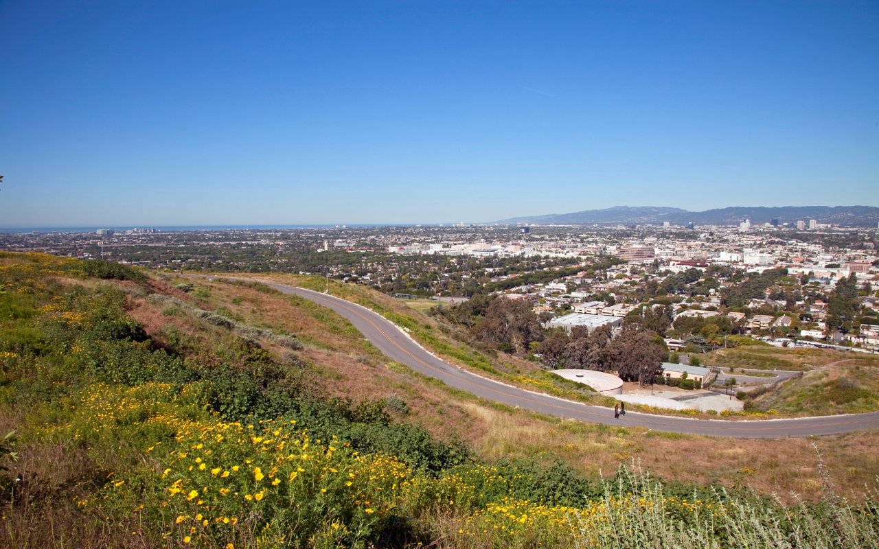 Los Altos