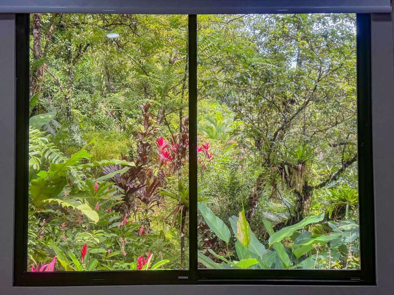 Ojochal Jungle Retreat for Sale with River, Pool, and Income-Generating Casitas
