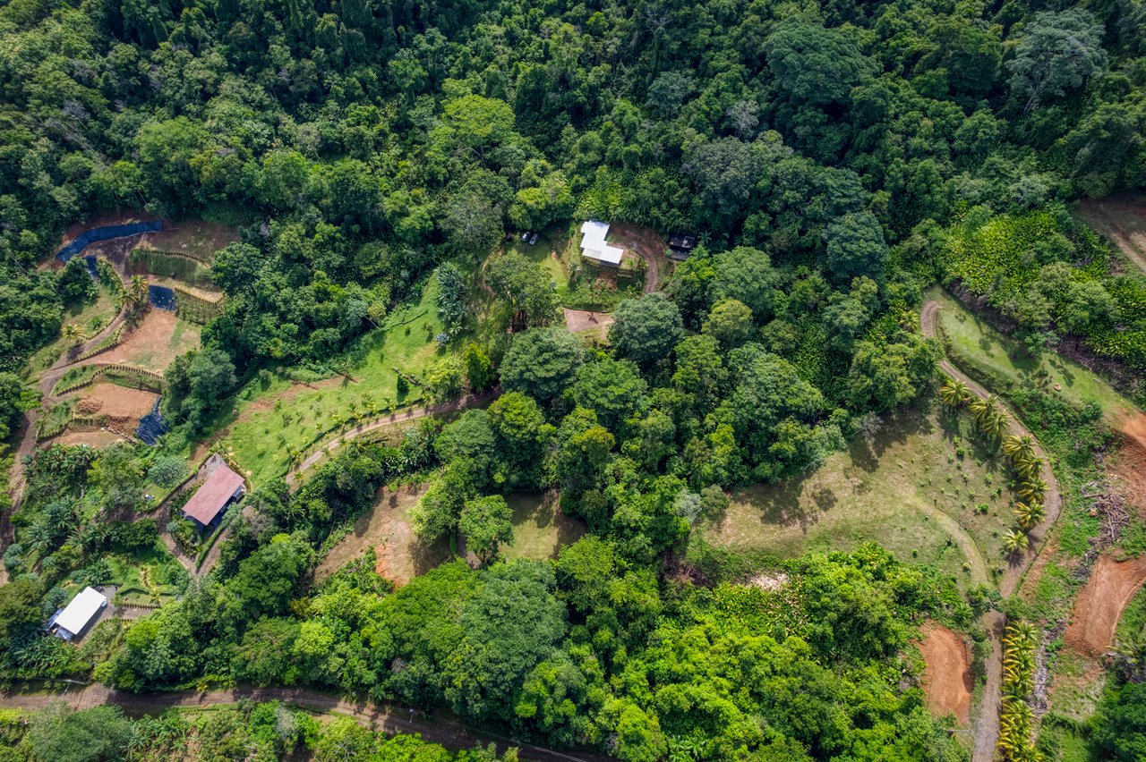 Sustainable Development Land, Uvita, Puntarenas
