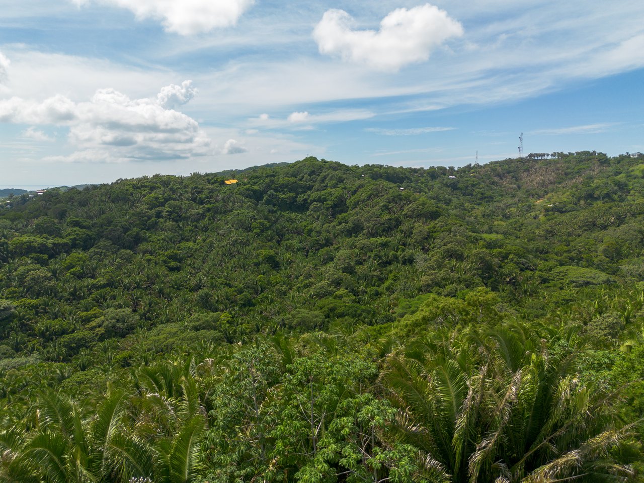 Ex-Canopy French Harbour, 59 acres