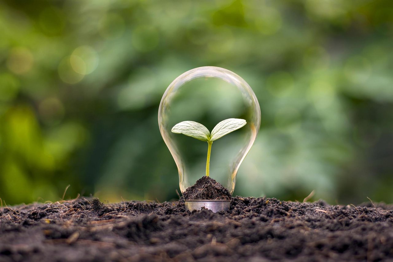 Top Tips for Making Your Home Energy Efficient