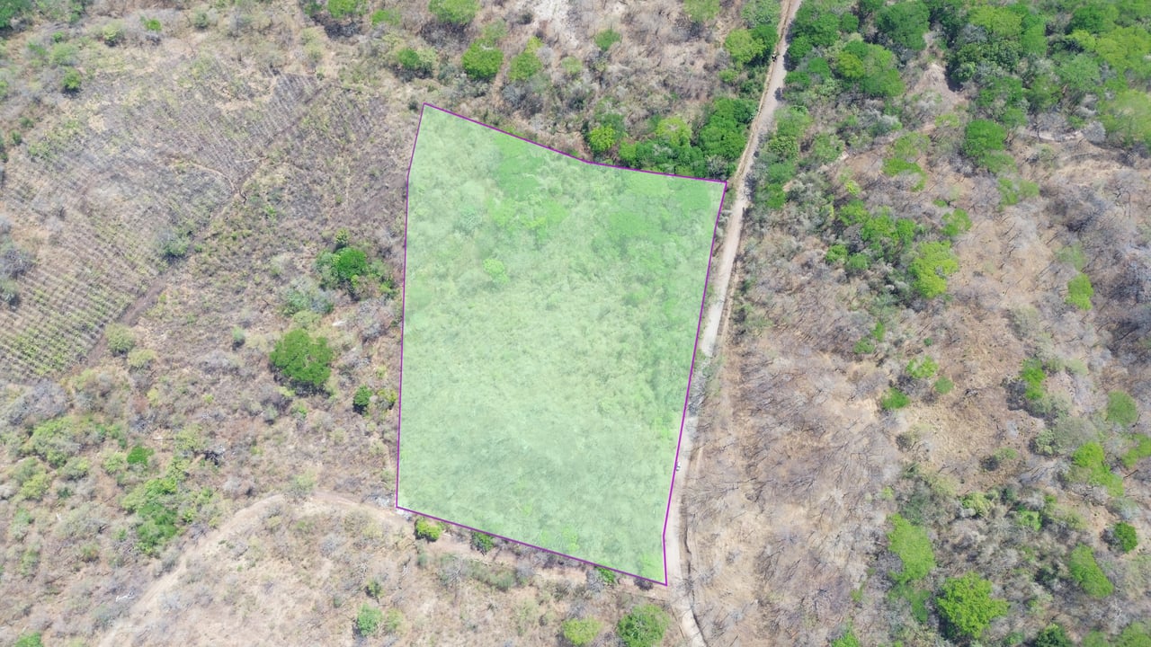 5 HECTARES DEVELOPMENT OPPORTUNITY - PLAYA MINAS