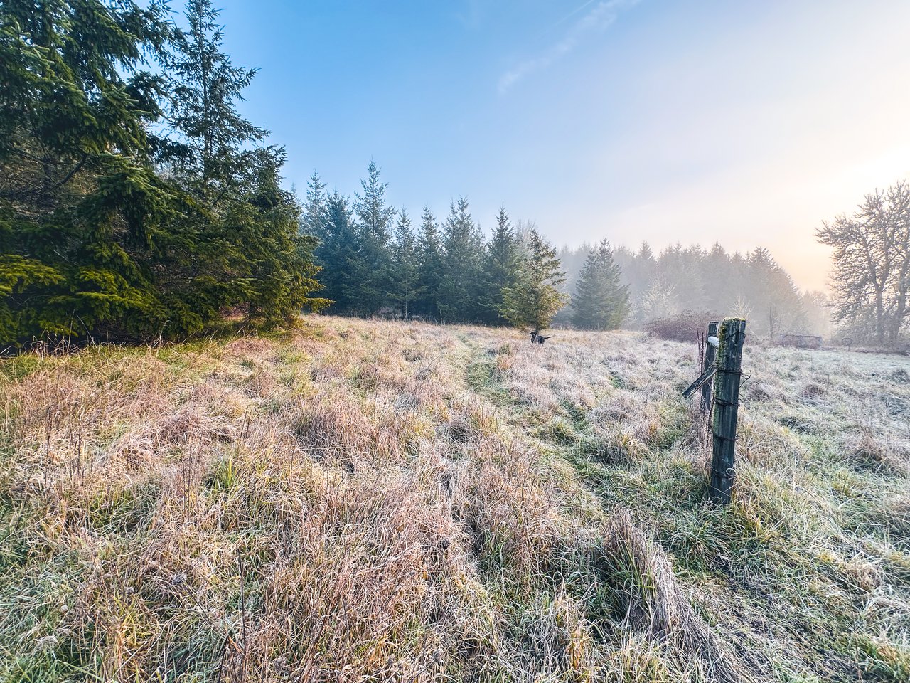 HARRIS FARM & FOREST