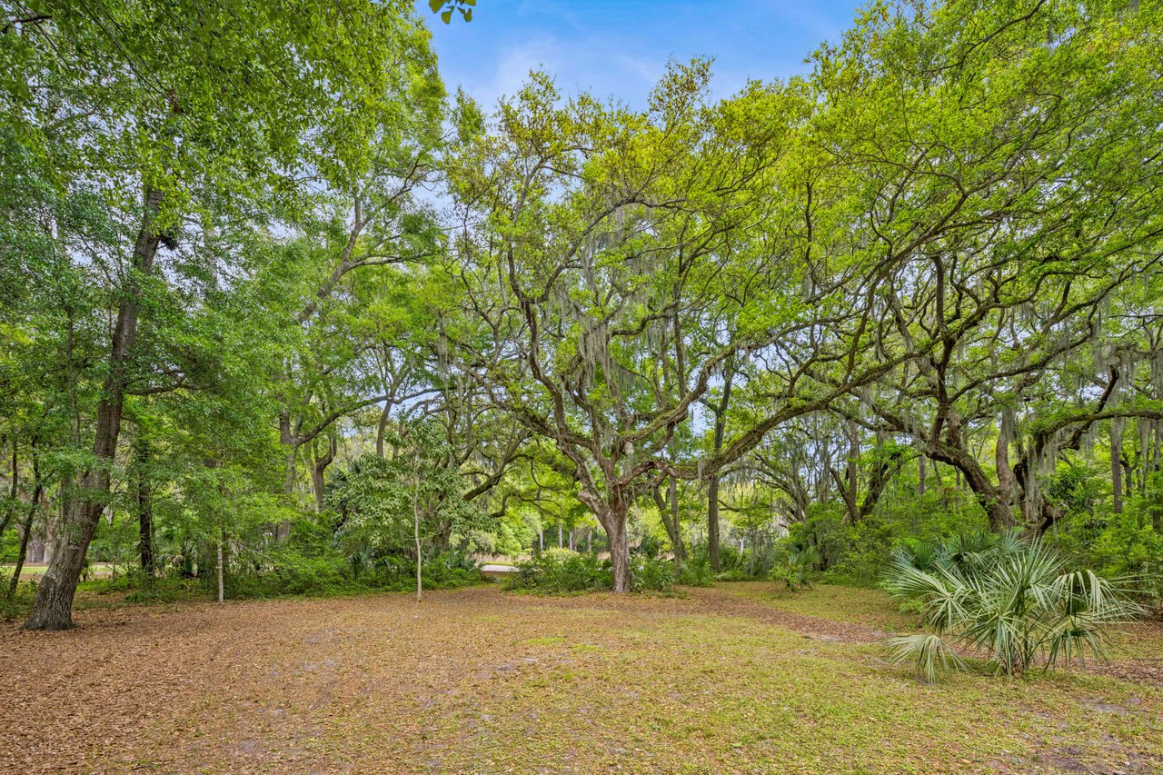 12 Bird Patch Trail