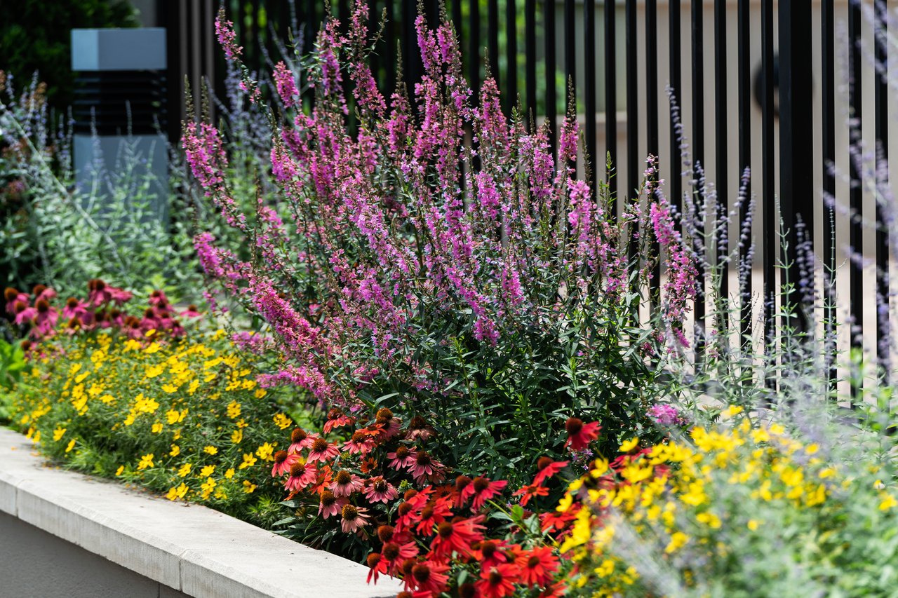 222 12th Street NE Unit 2105