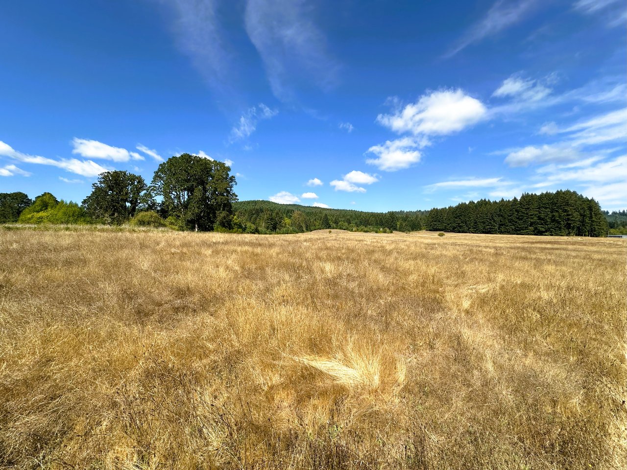 Sheffler Farm & Forest