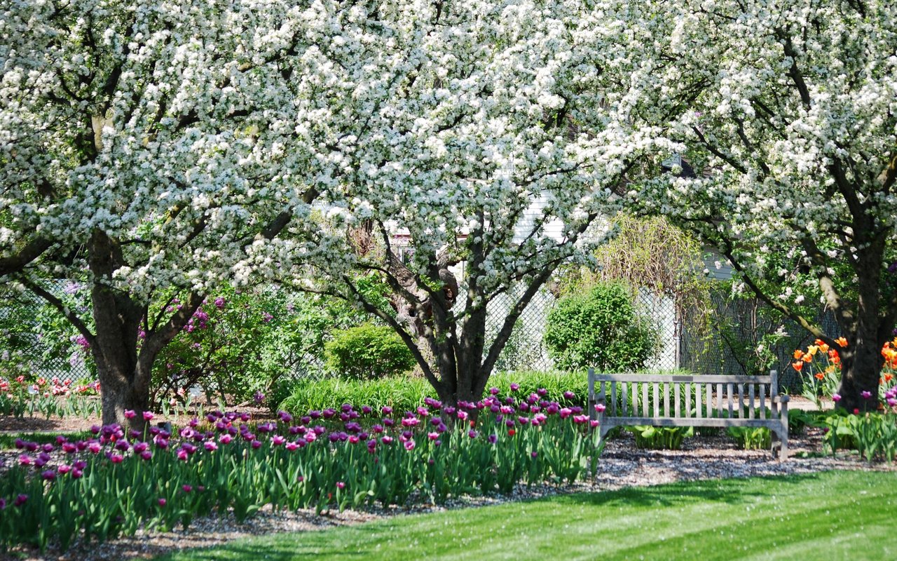 Lombard
