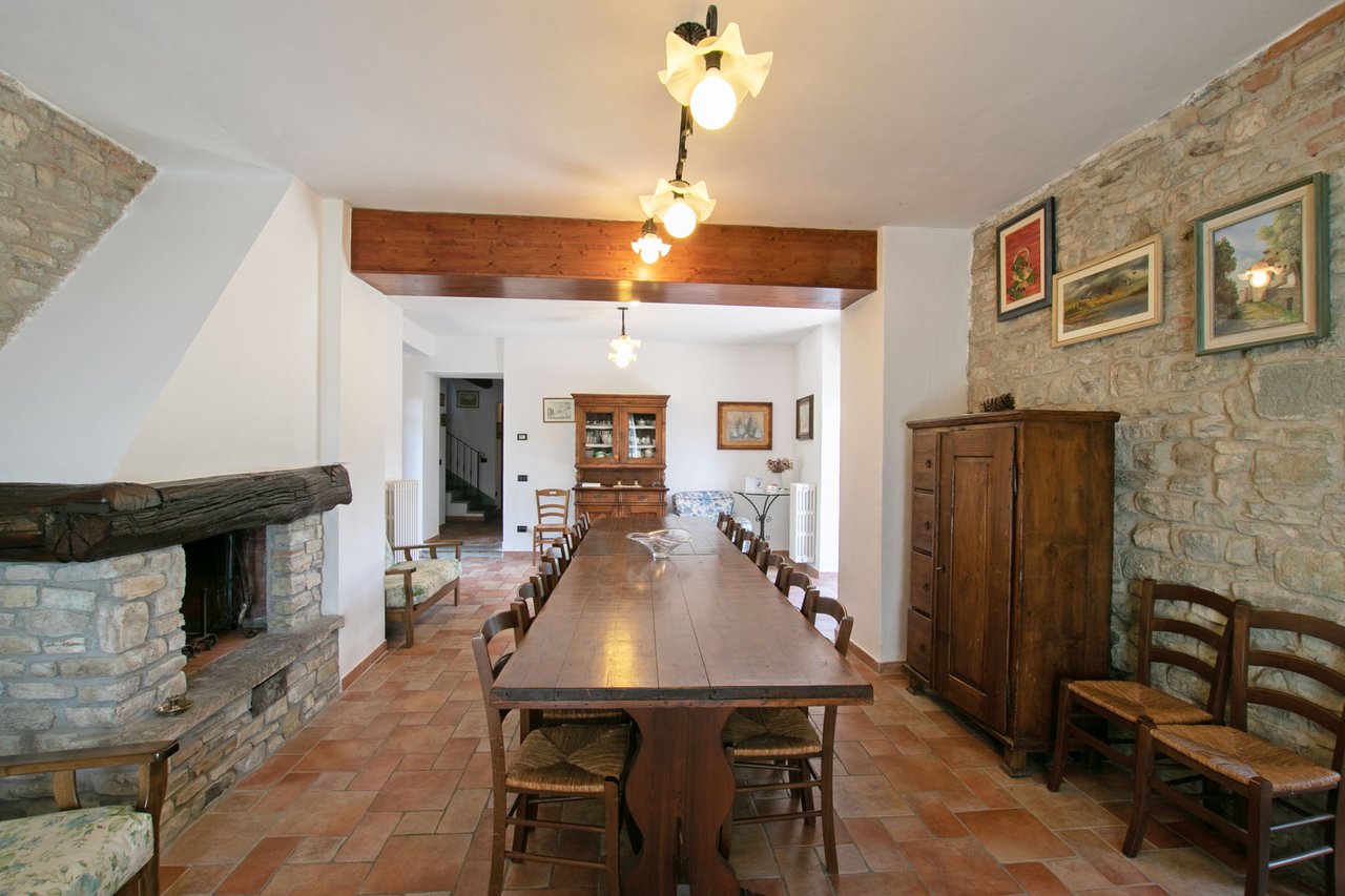 PODERE VICCHIO
