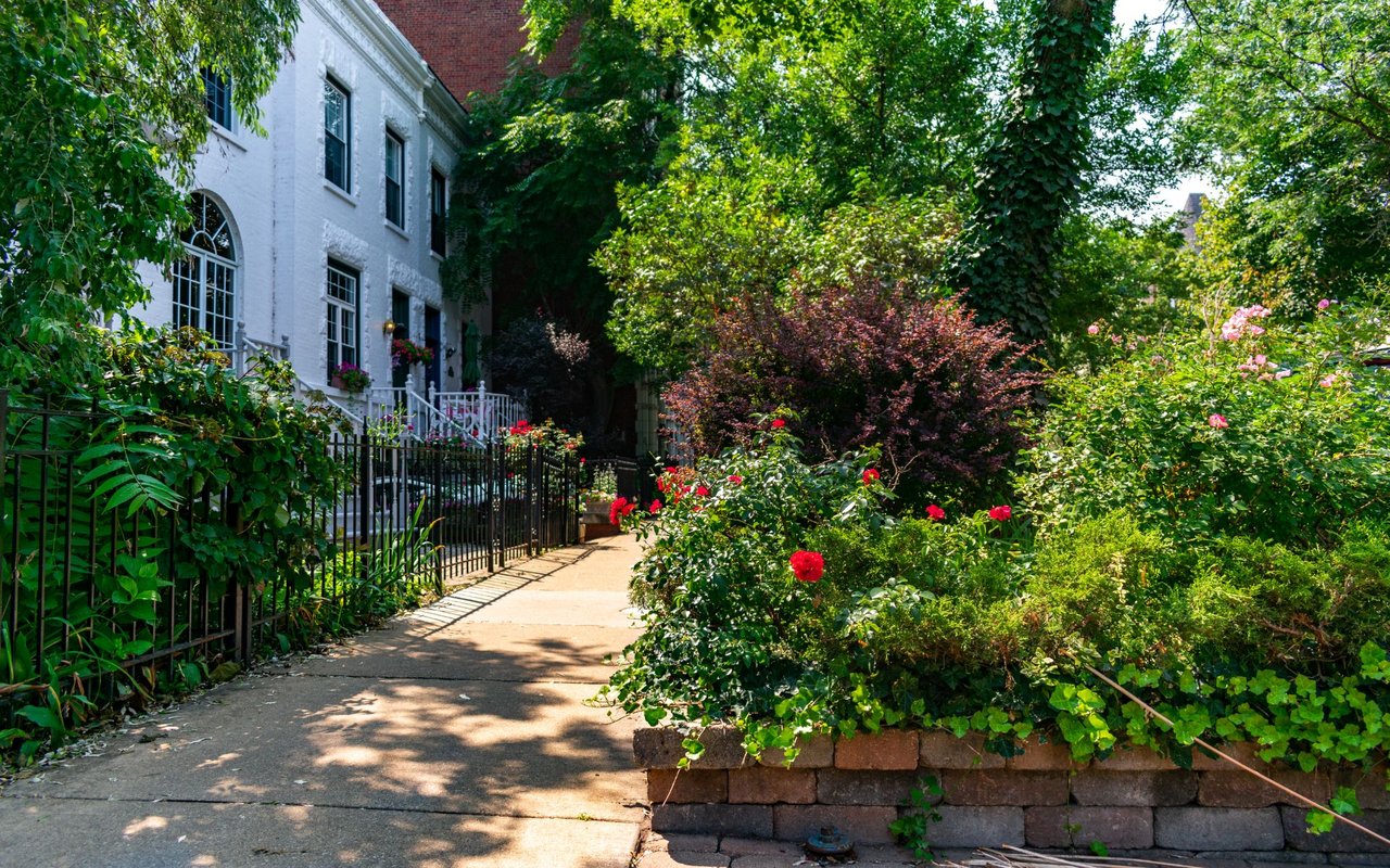 Albany Park