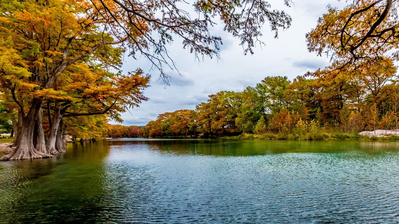 The Woodlands