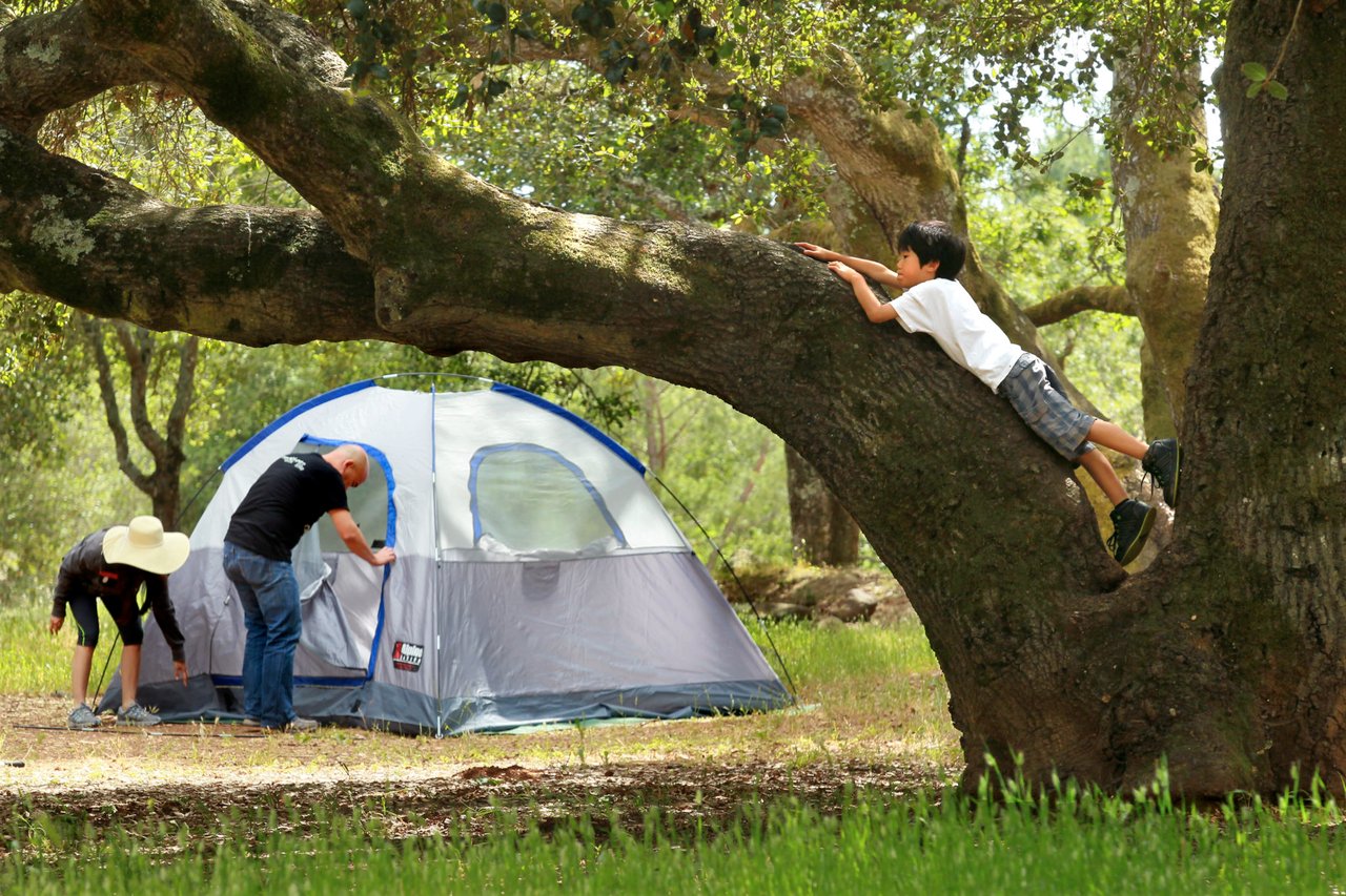 Top 10 Camping Spots in Sonoma County