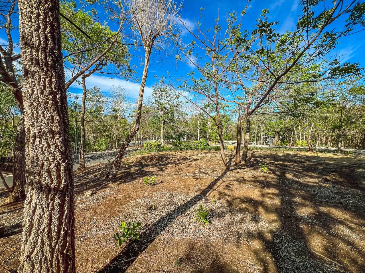 Build Ready Jungle View Lot, Tamarindo, Guanacaste