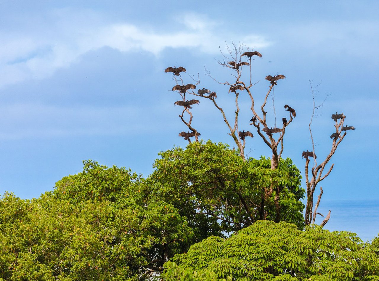 Resort-Hotel for Sale in Uvita – 12 Two-Bedroom Apartments & Pool