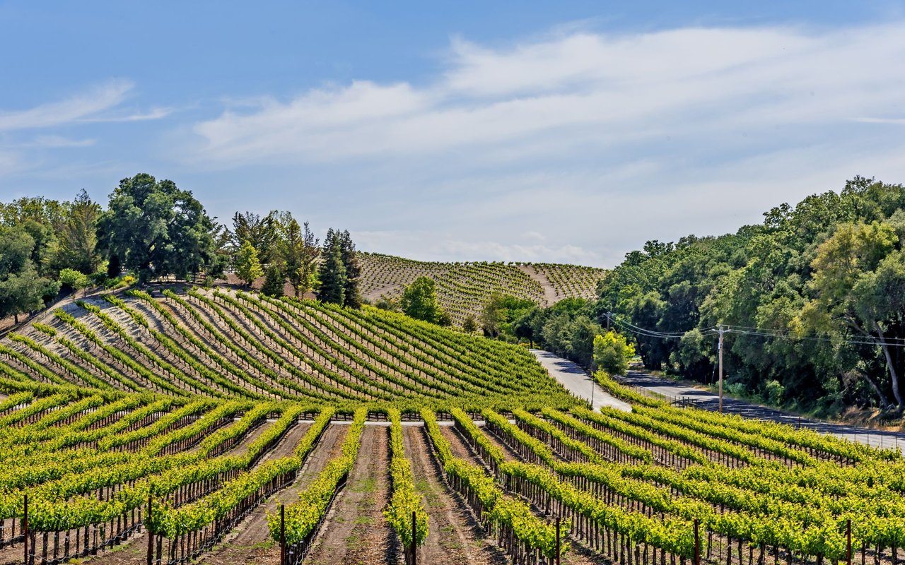 Paso Robles