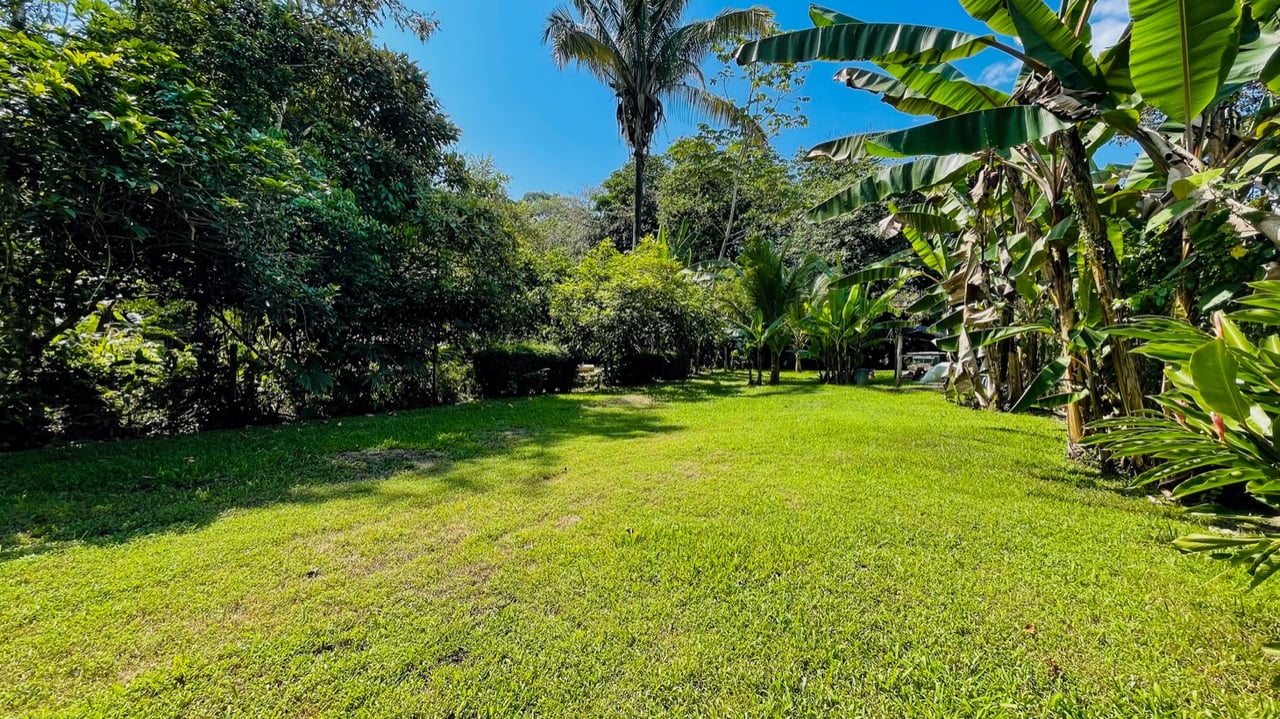 Investment Opportunity! Eco-Friendly Rental Property Near Playa Chaman and Playa Colonia