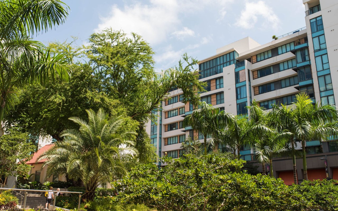 Avenida Montehiedra