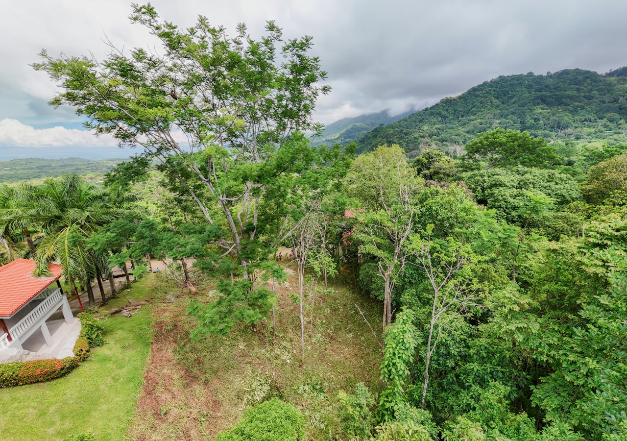 Build-Ready Lot for Sale in Ojochal – Palmera del Trópico Phase 9 | Gated Community, Nature & Beaches Nearby
