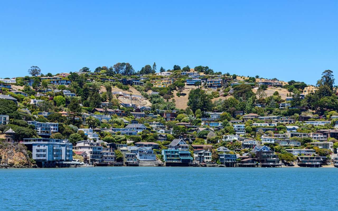 Tiburon