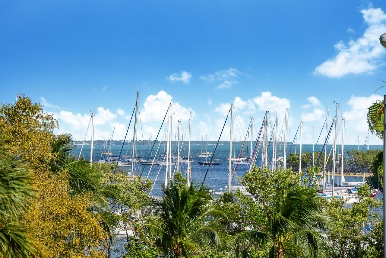 Why Coconut Grove Luxury Real Estate is Hot