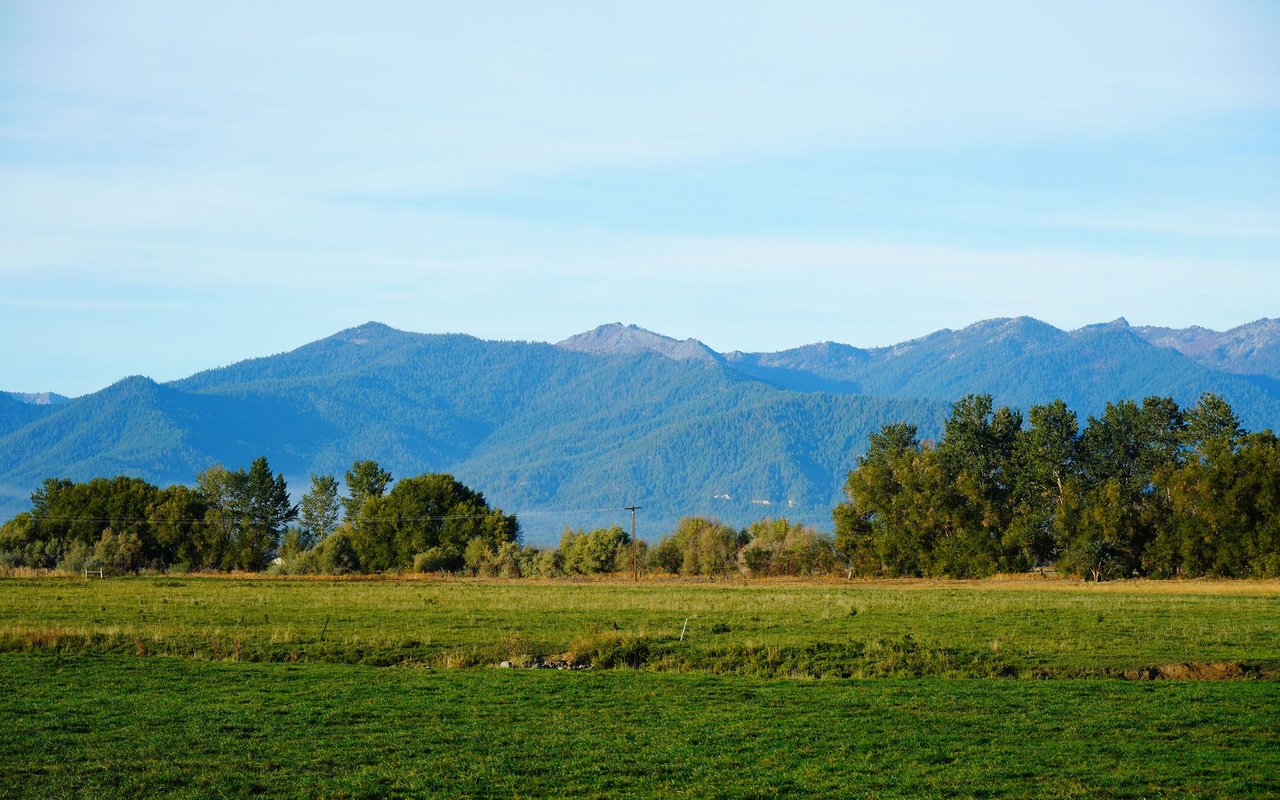 Scotts Valley