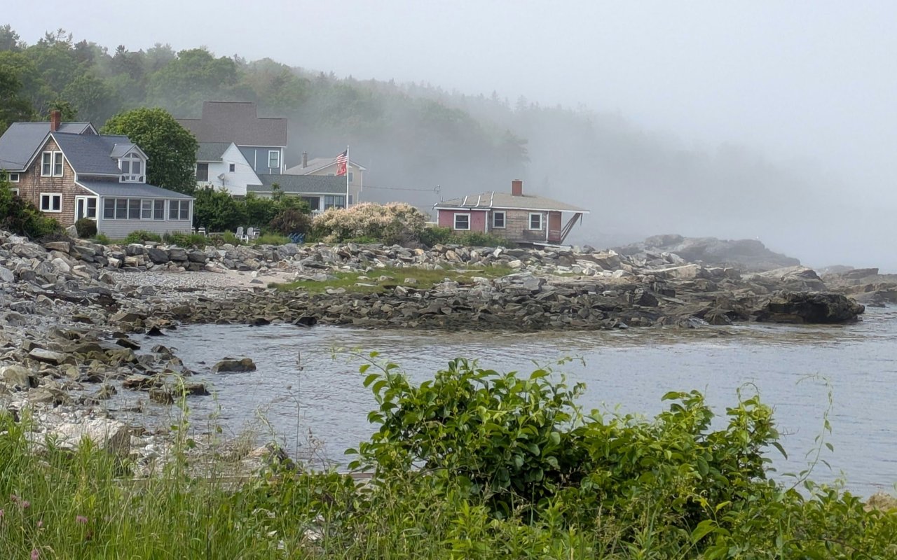 Coastal homes along a rocky shoreline, framed by foreground greenery and misty woods.