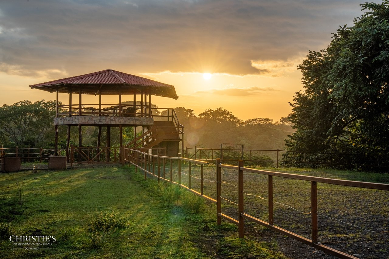 Finca Sweet Prince – A Private Equestrian Estate of Unmatched Elegance