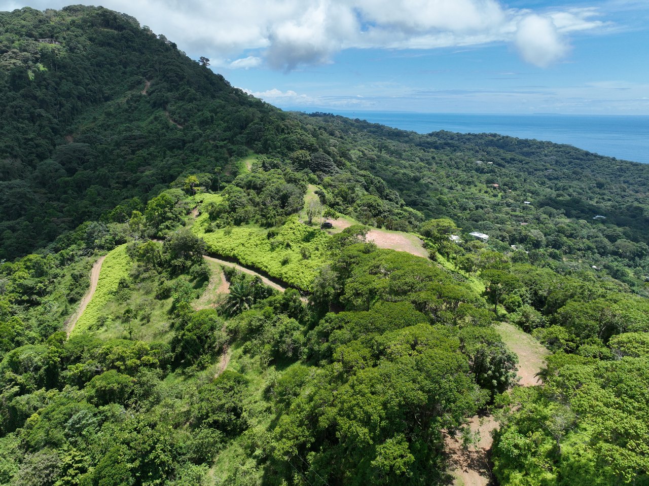 Luxury Farm Estate — 60 hectares of Breathtaking Views & Ultimate Privacy