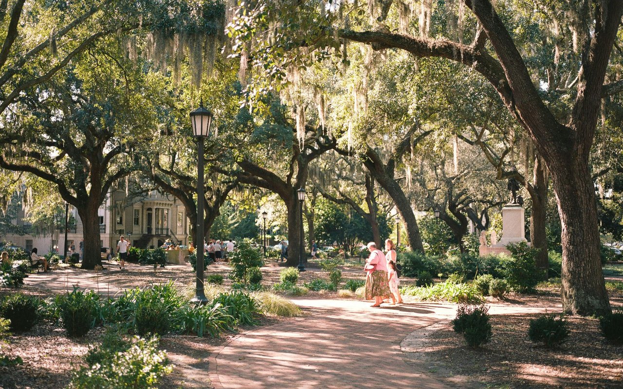 Ardsley Park / Midtown