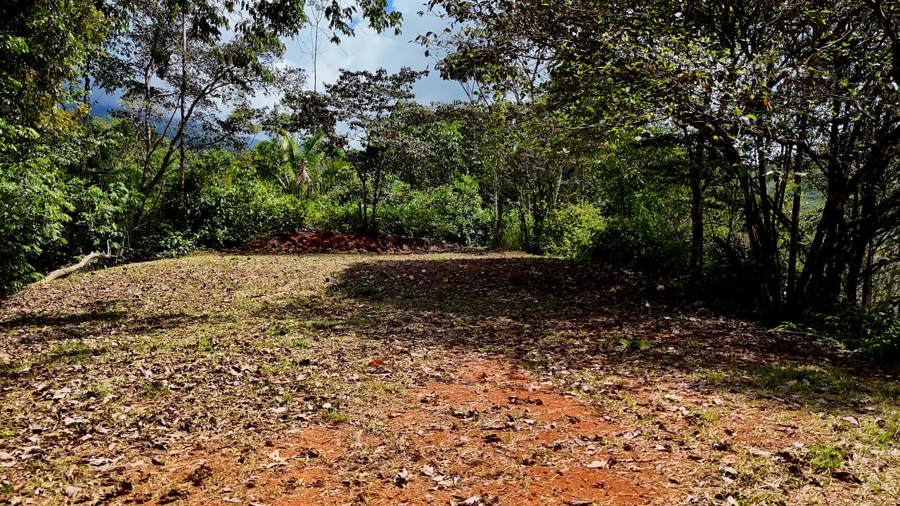 Beautiful mountain view land located in a quiet community in Ojochal. 