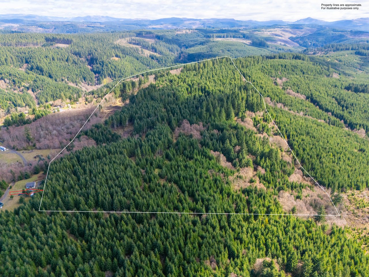 Marion Woods - Auction