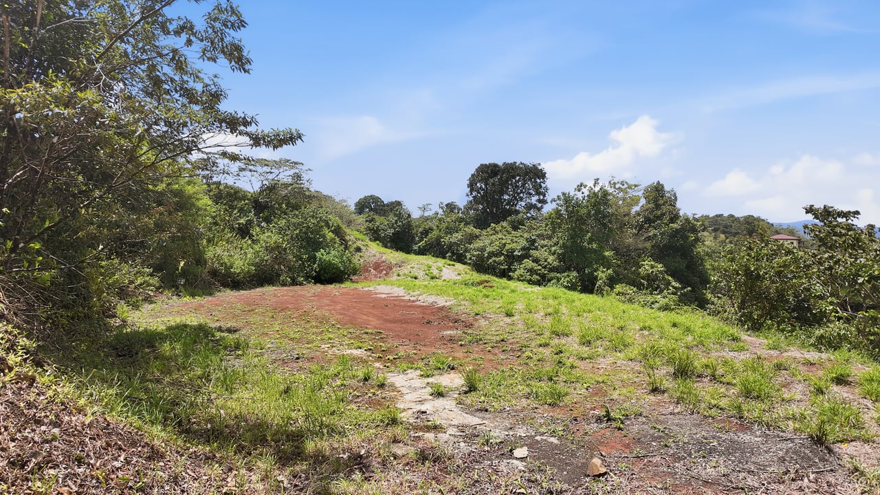 LAKEFRONT LOT - TURTLE COVE - LAKE ARENAL 