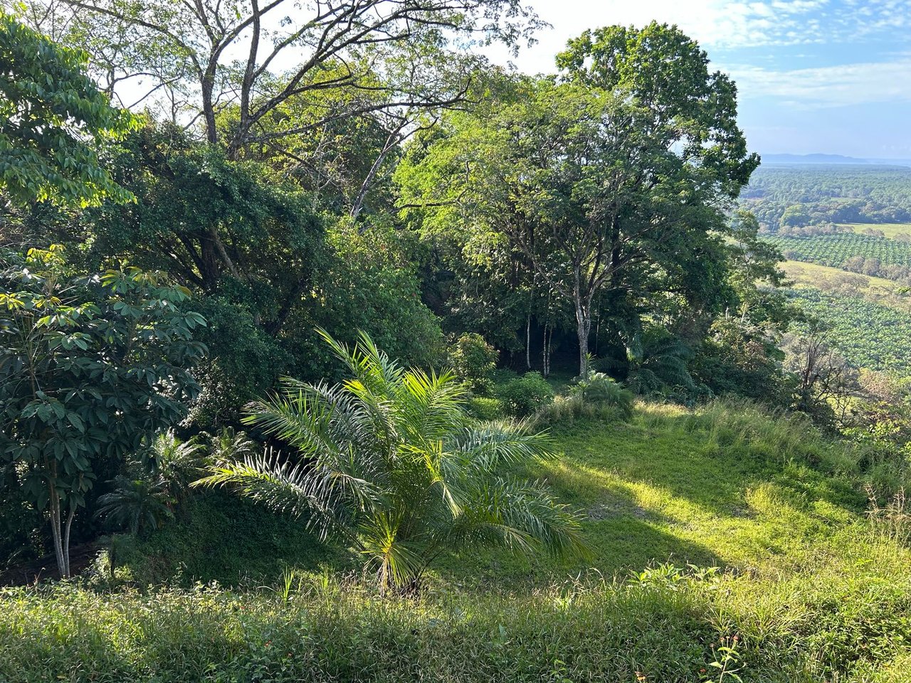 Private 13-Acre Property with Ocean and Mountain Views in San Buenas