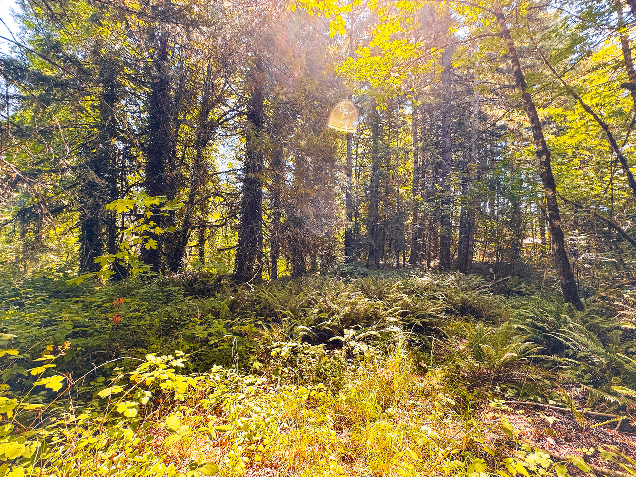 London Grove Riverfront