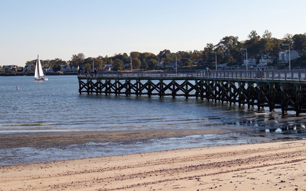 Stamford waterfront with a wooden pier, sailboat, sandy beach, and homes along the shore.