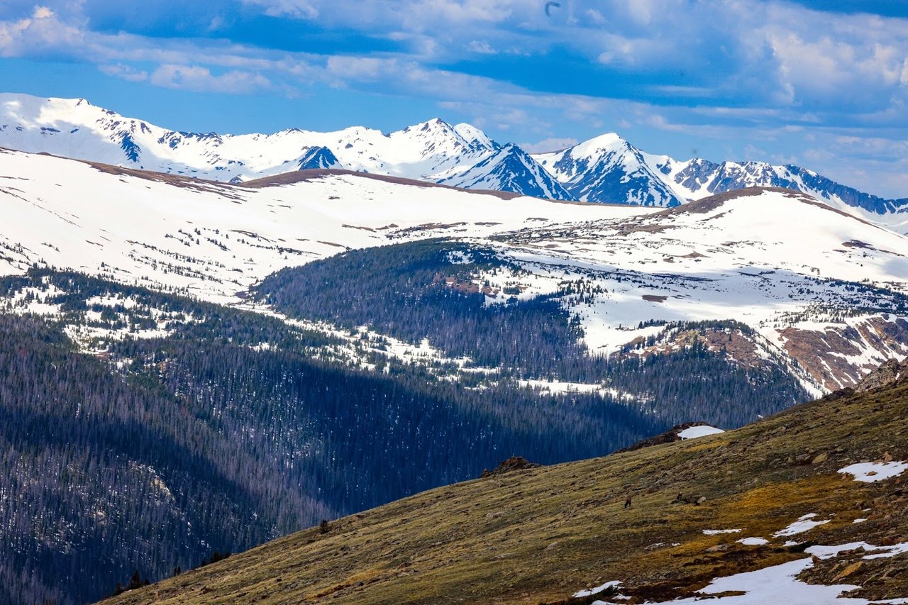 Where the Road Meets the Sky: Driving Trail Ridge Road