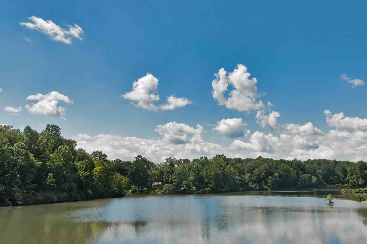 Forest Lakes